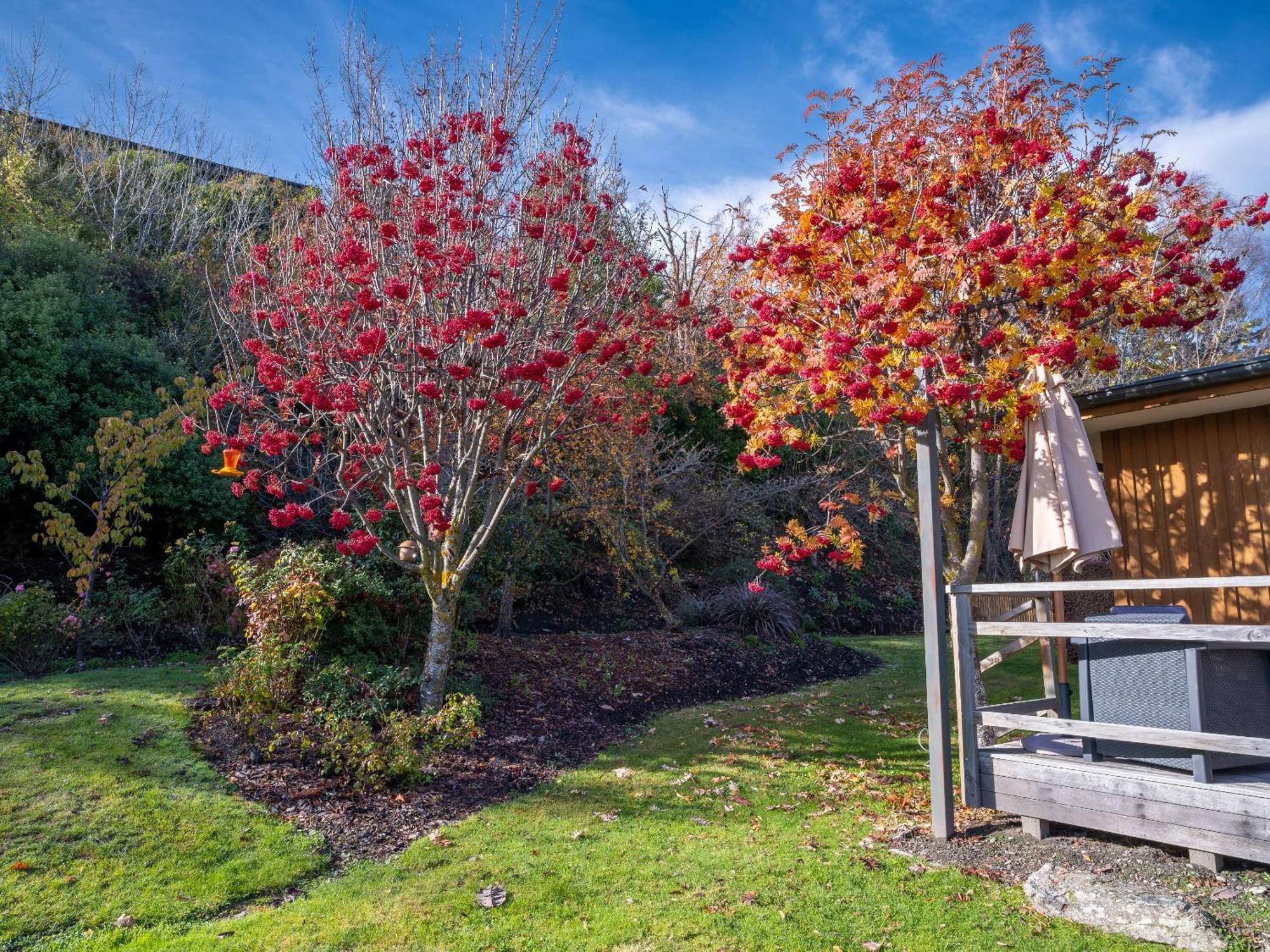 Wanaka Springs Lodge Eksteriør billede